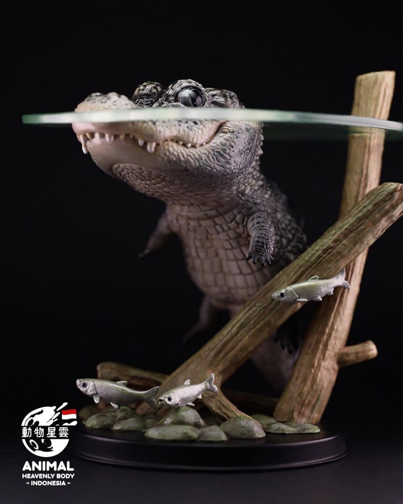 LAUGH AND GROW FAT Scene Part 3: Chinese Alligator - Animal Heavenly Body