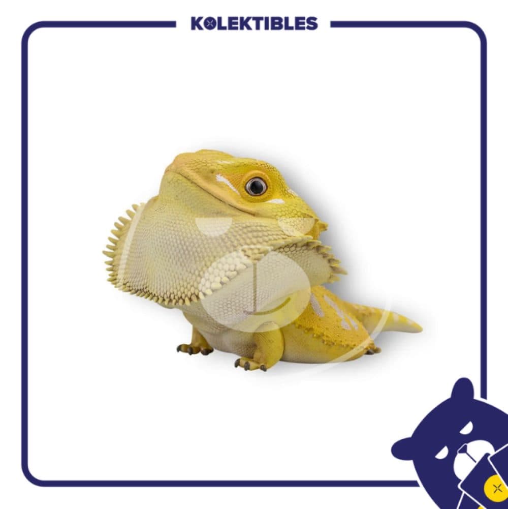 Maned Lion Lizard (Yellow) - Animal Heavenly Body