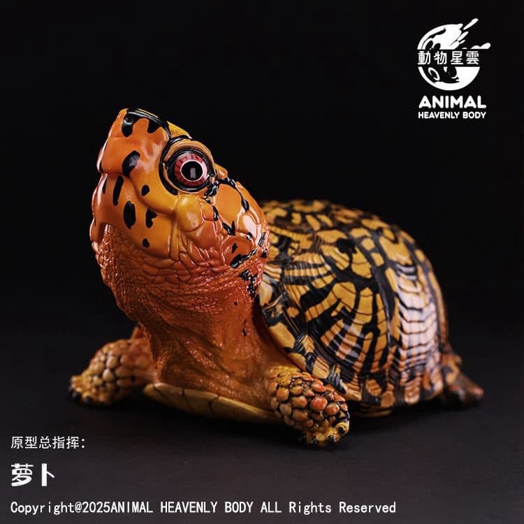 Eastern Box Turtle (Orange) SERIES OF LAUGH AND GROW FAT NO.25 box turtle – Animal Heavenly Body