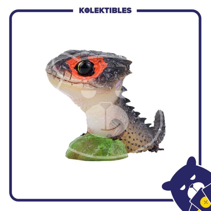 Red-eyed Crocodile Skink - Animal Heavenly Body