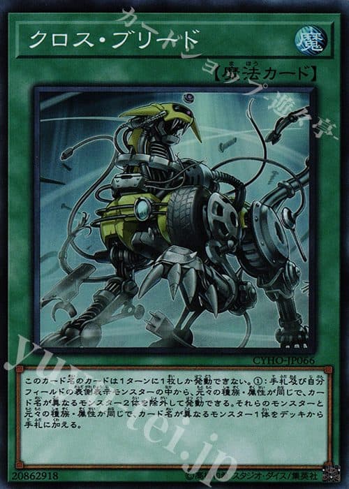 YUGIOH JP - CYHO-JP066 Cross Breed SR