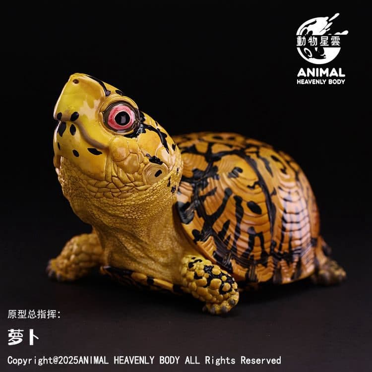 Eastern Box Turtle (Yellow) SERIES OF LAUGH AND GROW FAT NO.25 box turtle – Animal Heavenly Body