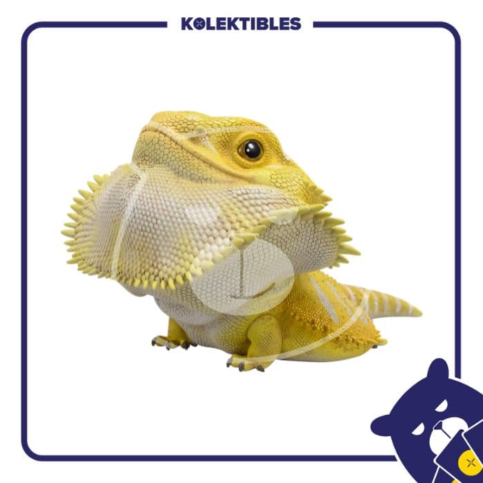 Yellow Bearded Dragon MAX (Pogona Vitticeps) - Animal Heavenly Body