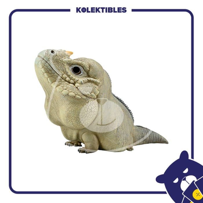 Rhinoceros Iguana Plus - Animal Heavenly Body