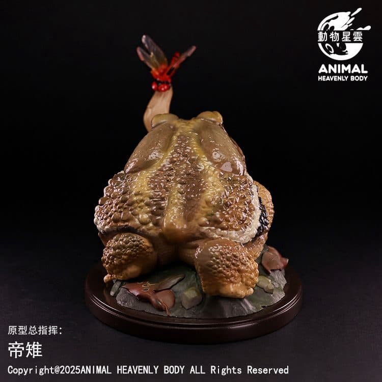 LAUGH AND GROW FAT Scene Part 4: Bufo Gargarizans – Animal Heavenly Body