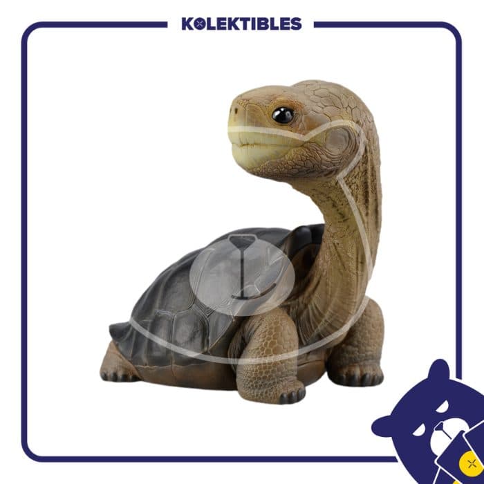 Let’s Reptile Series 2 – Galápagos Giant Tortoise - Animal Heavenly Body