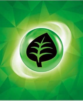 Pokemon Indonesia - Tipe Daun - Kartu Build & Play Pokemon