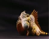 American iguana - Animal Heavenly Body