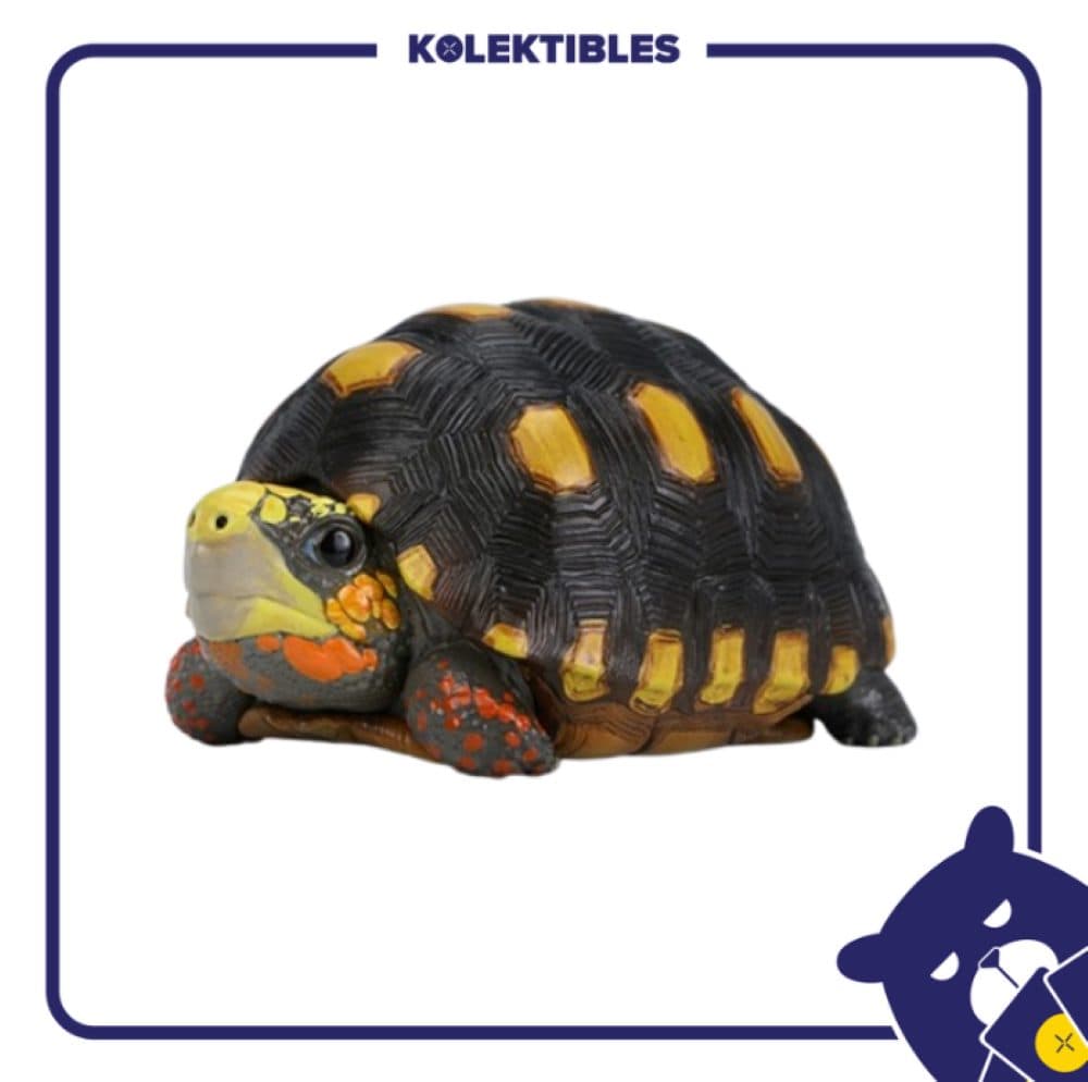 Red-legged Tortoise - Animal Heavenly Body