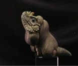 Rhinoceros iguana - Animal Heavenly Body